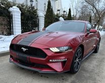 Москва Mustang 2021