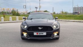 Домодедово Mustang 2015