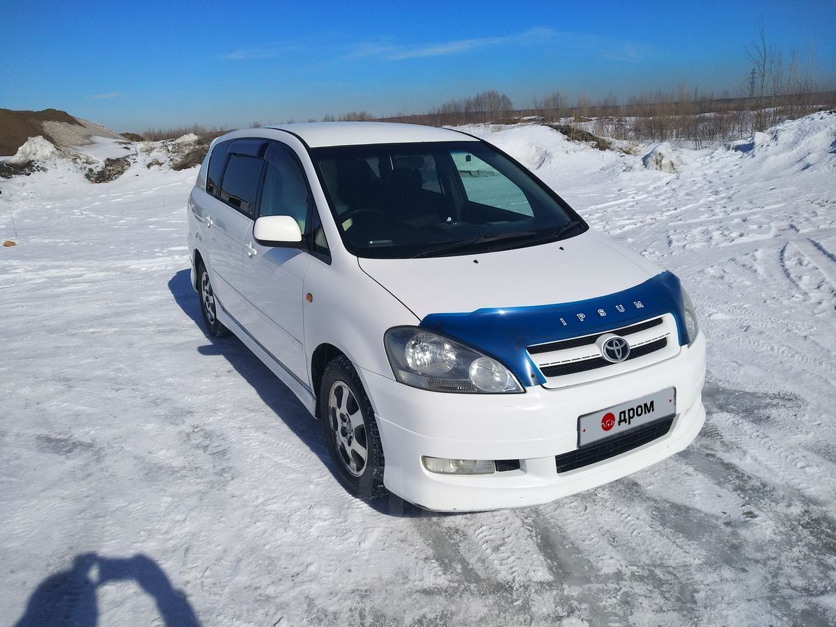 Купить Ипсум 10 В Иркутске