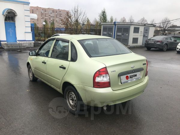Купить Калина Бу Днр