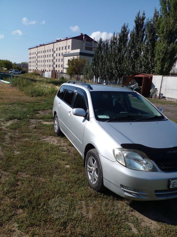 Toyota Corolla Fielder 2003 серебристый