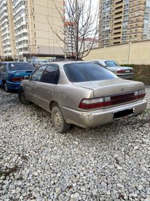 Краснодар Corolla 1993