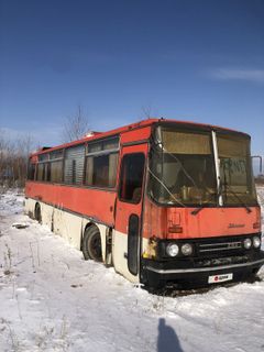 Городской автобус Ikarus 256 1989 года, 160000 рублей, Владивосток